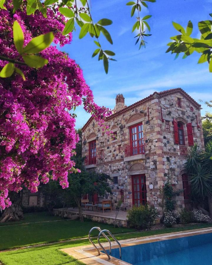 Alacati Zeytin Konak Hotel Buitenkant foto